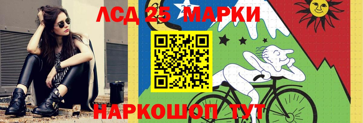 LSD-25 экстази кислота  Новоалександровск  ЛСД экстази кислота 