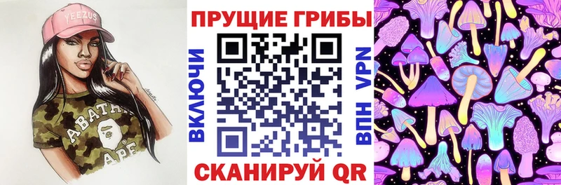 Псилоцибиновые грибы MAGIC MUSHROOMS  Новоалександровск 