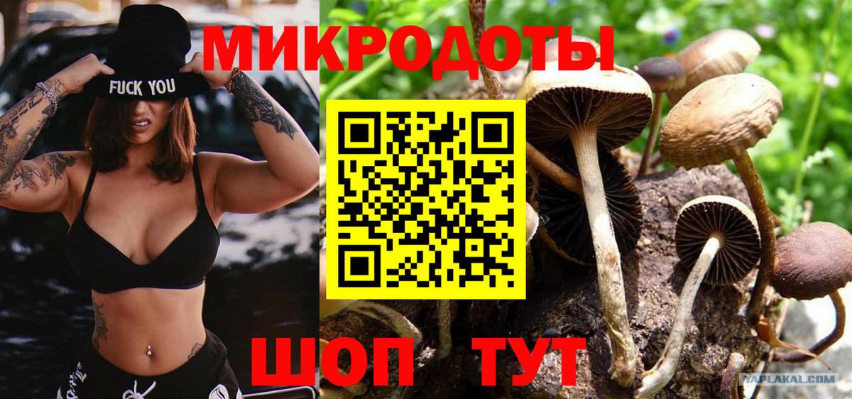 Новоалександровск  Псилоцибиновые грибы GOLDEN TEACHER  Вход с VPN 