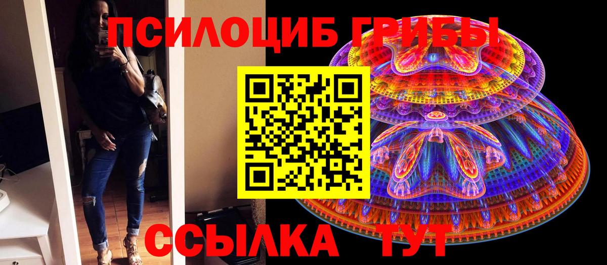 Галлюциногенные грибы GOLDEN TEACHER  даркнет сайт  Новоалександровск  Псилоцибиновые грибы MAGIC MUSHROOMS 