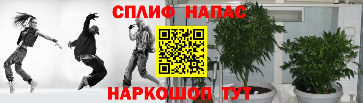 Канабис марихуана  Вход с VPN  Новоалександровск  Марихуана конопля  Марихуана SATIVA & INDICA 